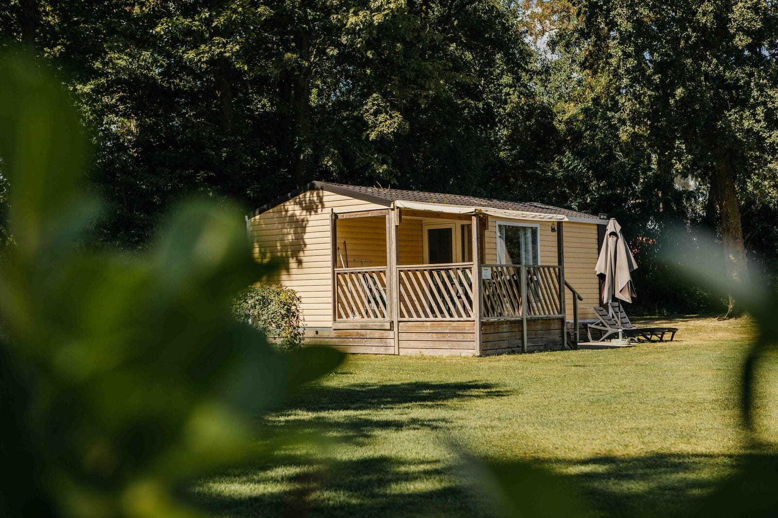 cover_NIQNIQ_fotografie_-2L8A0221