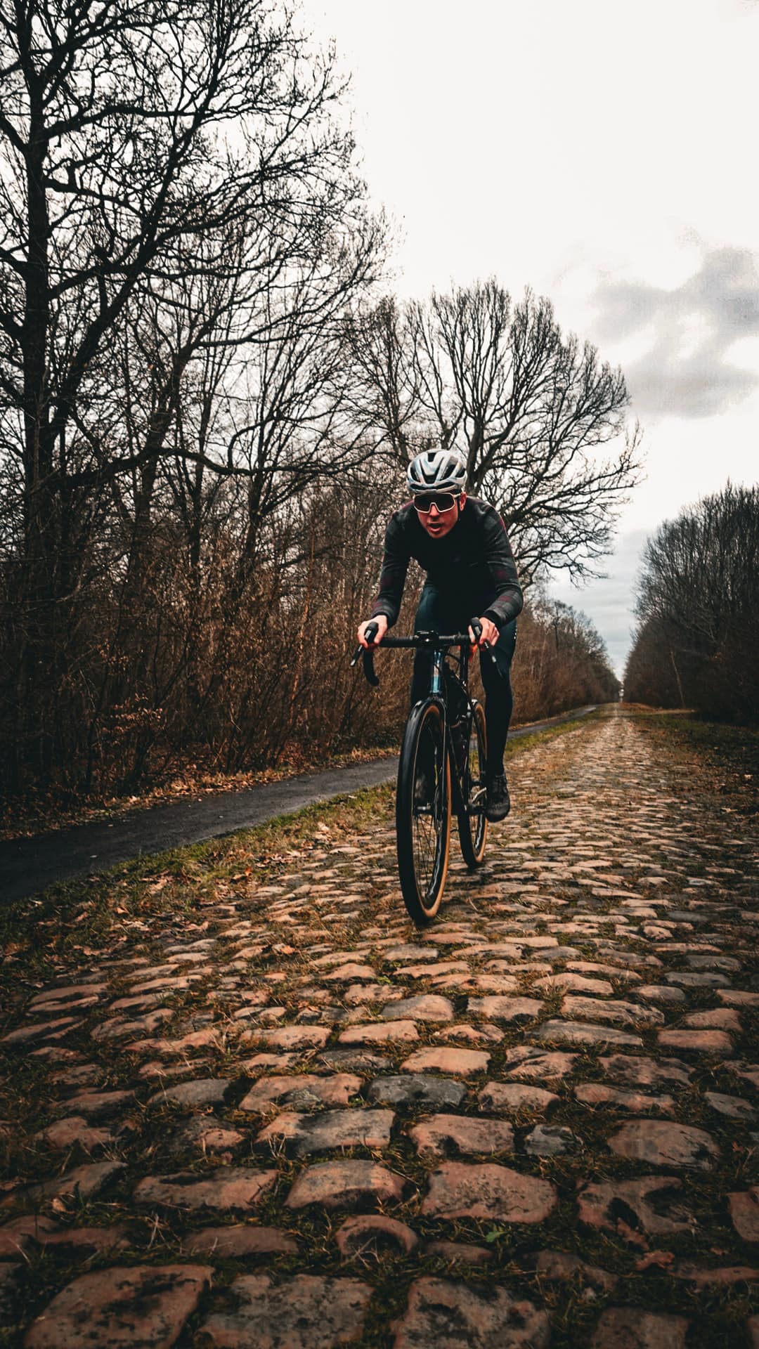 Thomas Bogaard, Arenberg, Kasseien