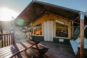 safari-tent-