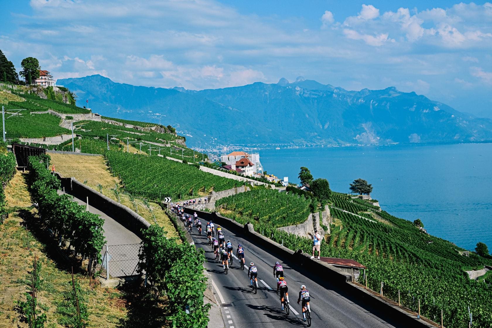 Cyclists race along a scenic road beside vineyards and a blue lake during the Tour de France.