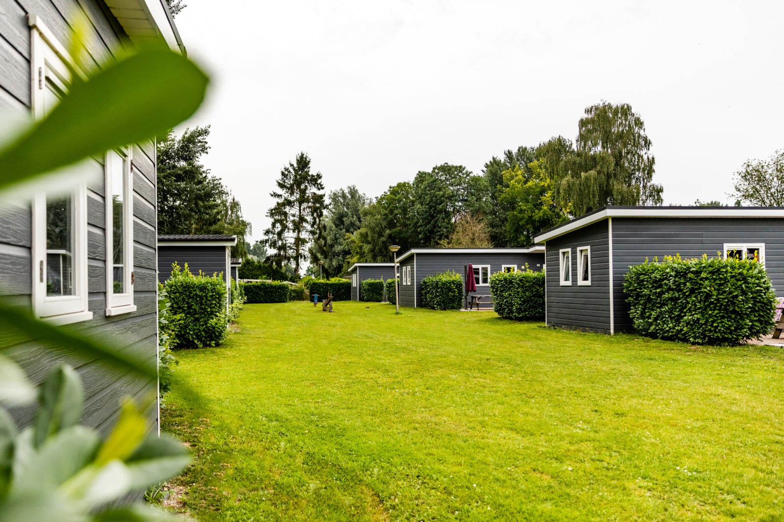 groepshof-chalets-de-scherpenhof
