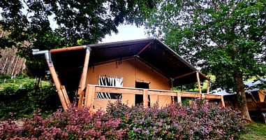 safaritent-camping-reiler