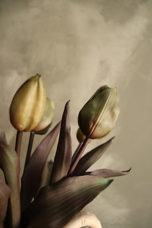 Bosje tulpen groen - Afbeelding 2