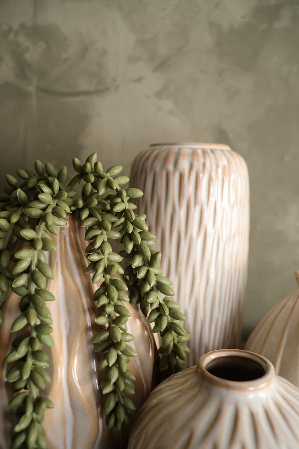 Erwtenplant groen - Afbeelding 3