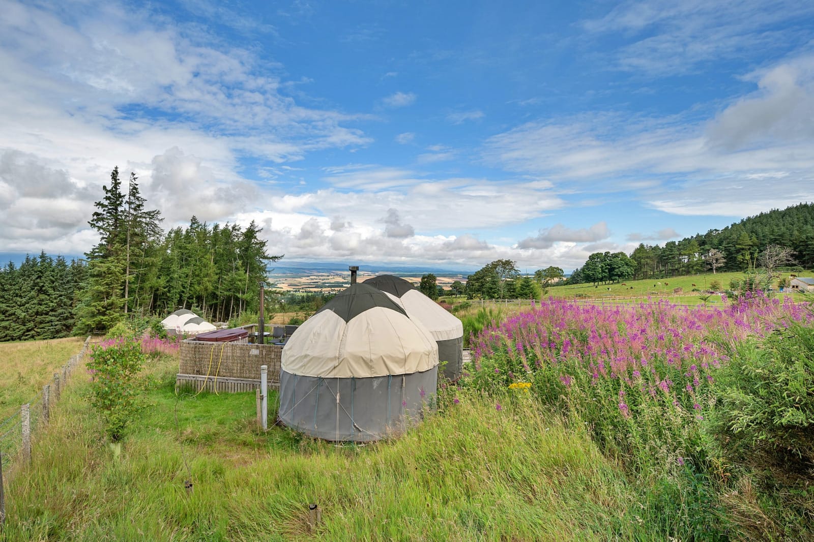 bramble-yurt-