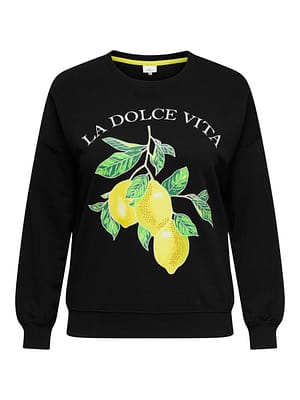 CARLACEY LIFE  L/S O-NECK SWEAT JRS