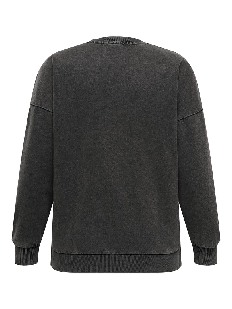 CARALEXA L/S O-NECK SWEAT JRS - Afbeelding 2