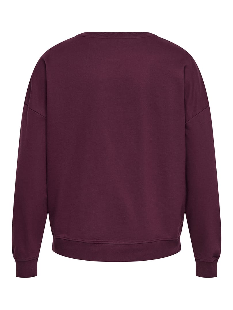 CARLEONORA L/S O-NECK SWEAT JRS BF - Afbeelding 2