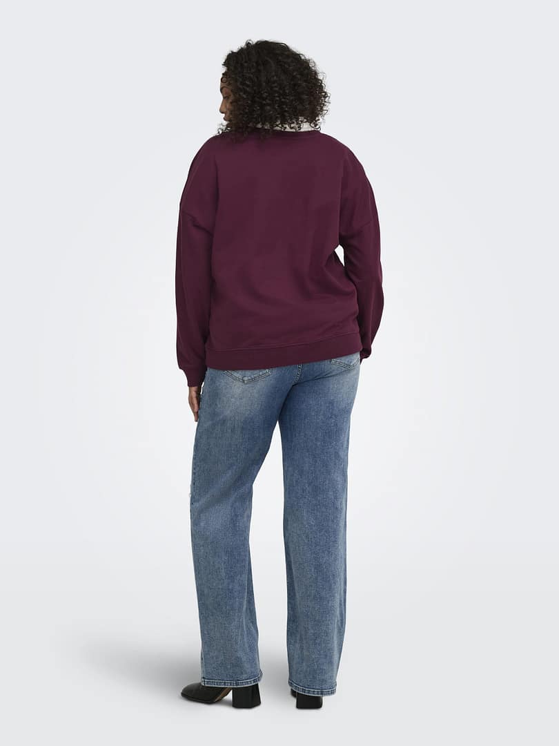 CARLEONORA L/S O-NECK SWEAT JRS BF - Afbeelding 5