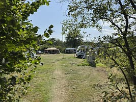 Camping-Ommen-Ommergras-9