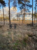 park-drentheland-vakantiepark-drenthe-zorgvlied-65ae765cb125c