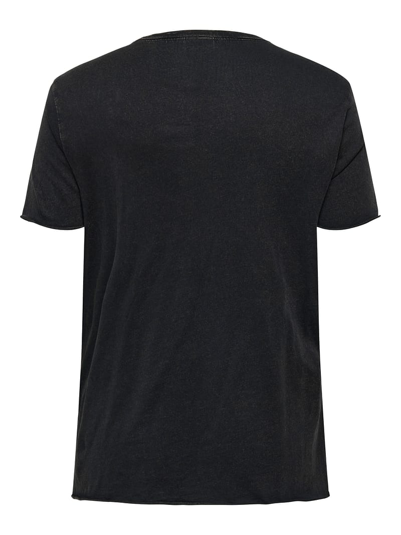 CARMIKO LIFE WASHED SS REG TEE JRS - Afbeelding 2