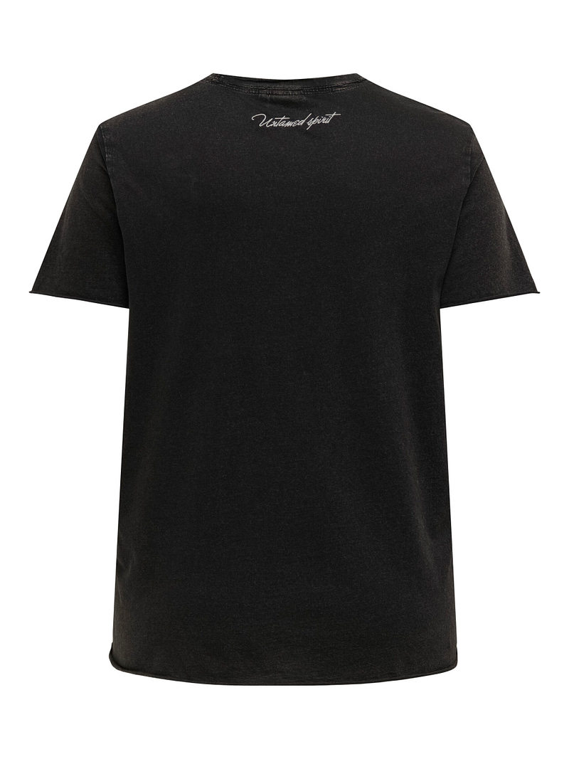 CARMIKO LIFE WASHED SS REG TEE JRS - Afbeelding 2