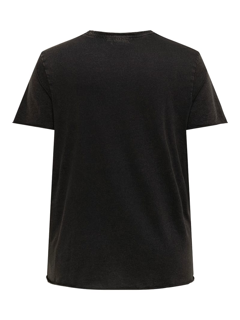 CARMIKO LIFE WASHED SS REG TEE JRS - Afbeelding 2