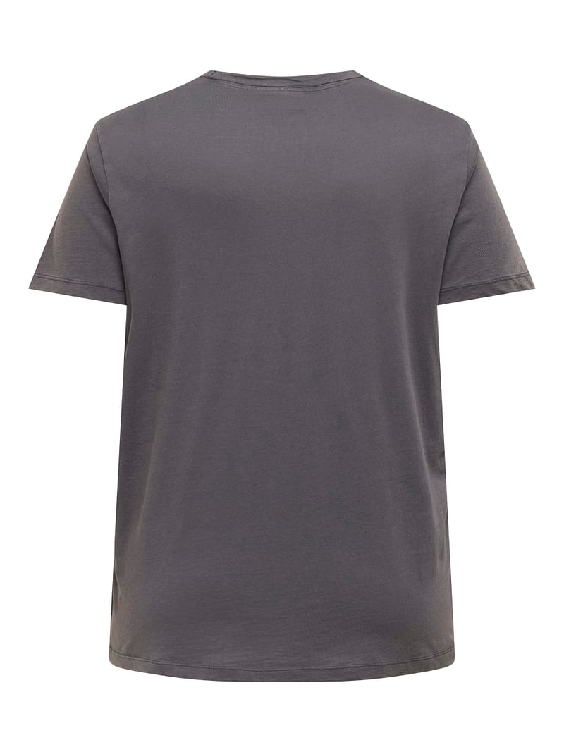 CARMIKO LIFE WASHED SS REG TEE JRS - Afbeelding 2