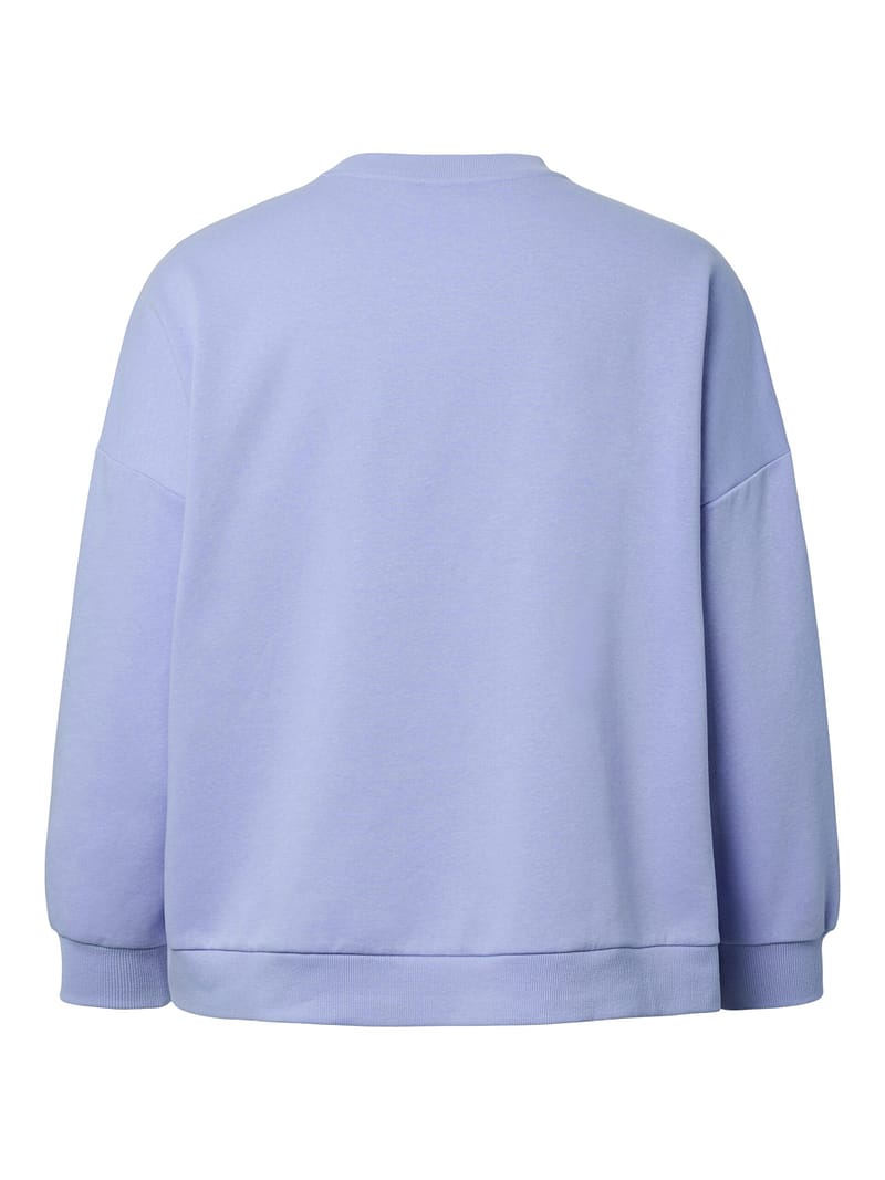 PCFILI LS O-NECK OVERSIZED SWEAT JRS QX - Afbeelding 2