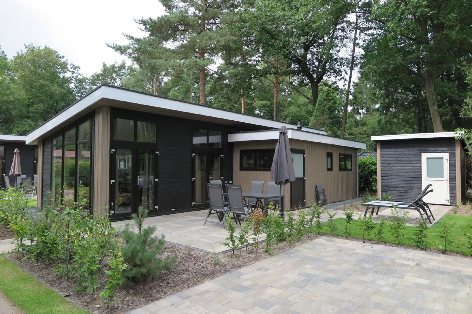 de-rimboe-de-woeste-hoogte-25-
