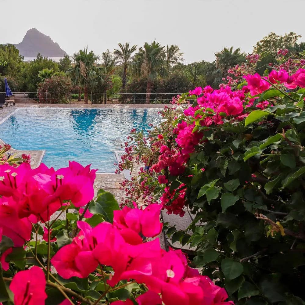 aW1hZ2VzLXR3ZC13aGl0ZWxhYmVsLXByZC9kZWpvbmdpbnRyYS9hSFIwY0hNNkx5OXBiV0ZuWlhNdVpHVnFiMjVuYVc1MGNtRXVibXd2WVhOelpYUXZhVzFoWjJVdllqTTFZakpoTjJZdE0yTmtOaTAwWWpnNUxUbGxZamd0T0RFMU9XSTFaVE5tTWpJMUwxY3ZTQQ