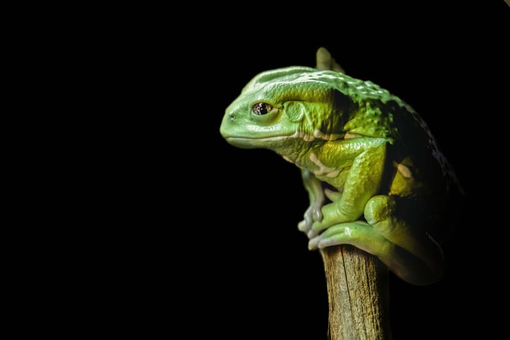 Naturalis Biodiversity Centre Leiden