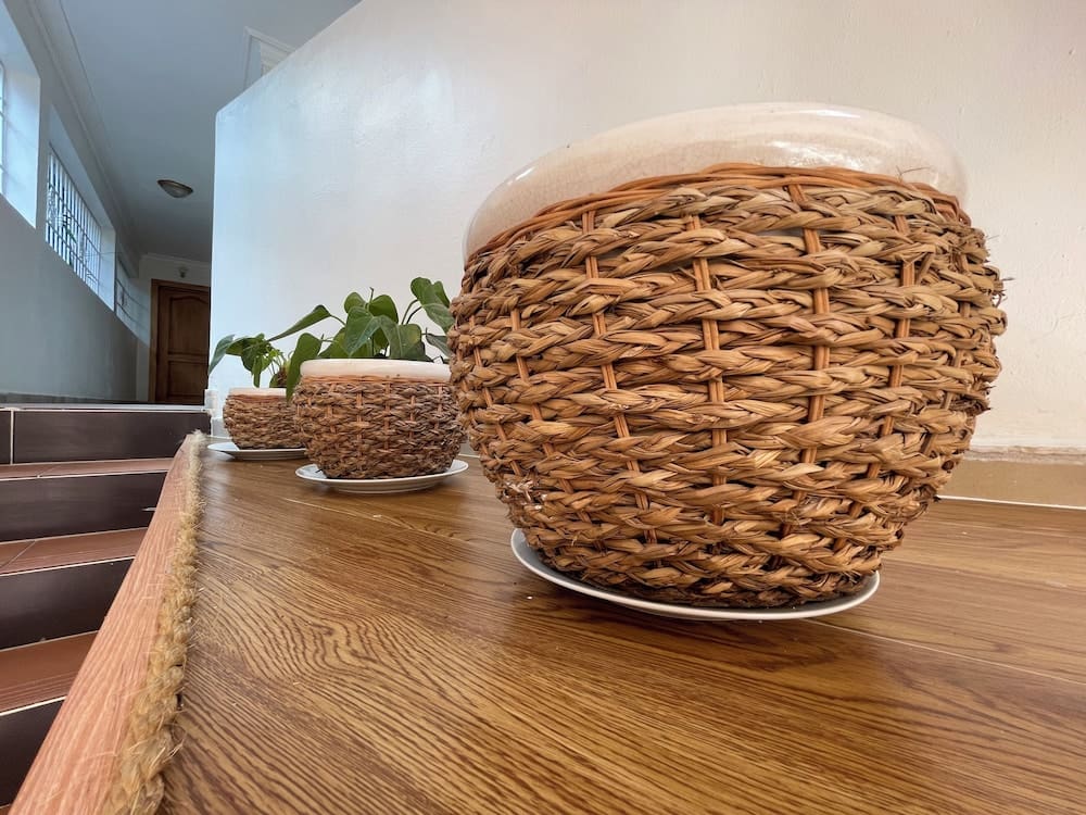 1684cefa64b7935bb15a2658944008d7