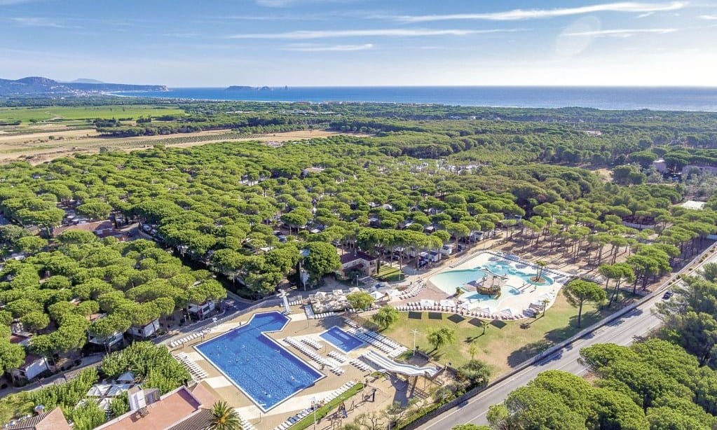 e2031e442a9b5.original