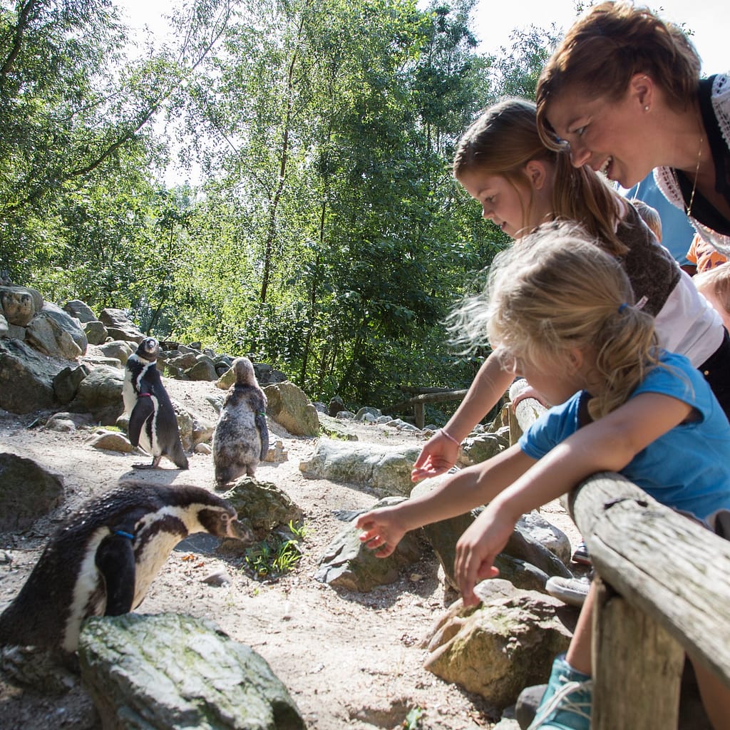 Familiepark AquaZoo in Leeuwarden