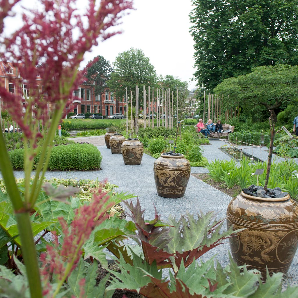 Dagje Leiden, Hortus Botanicus