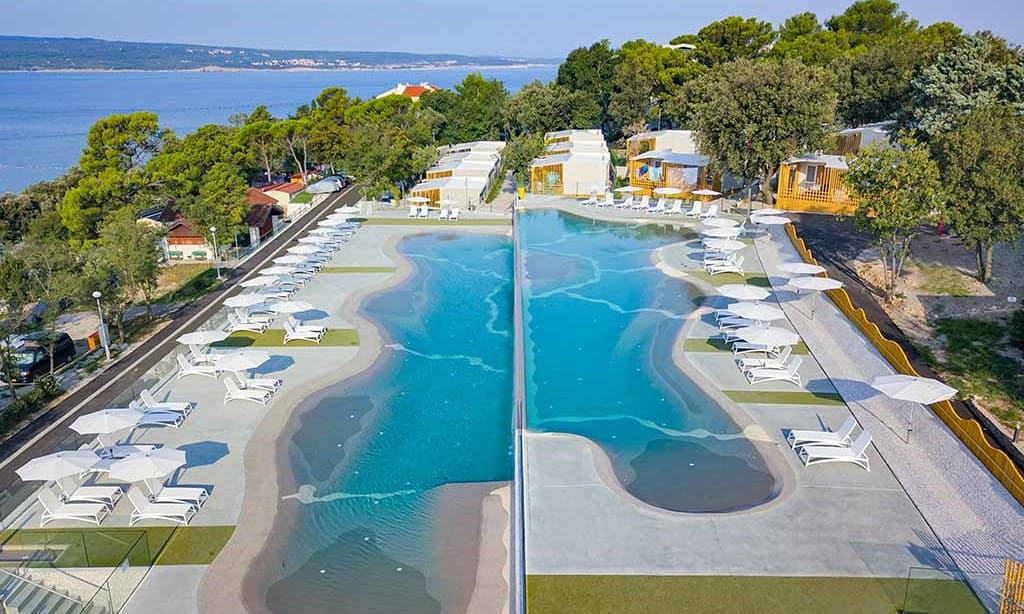 a3099a0b5d606.original