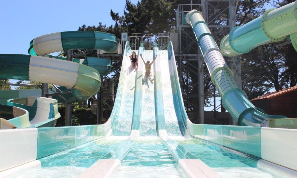 d13fe011e5836.original