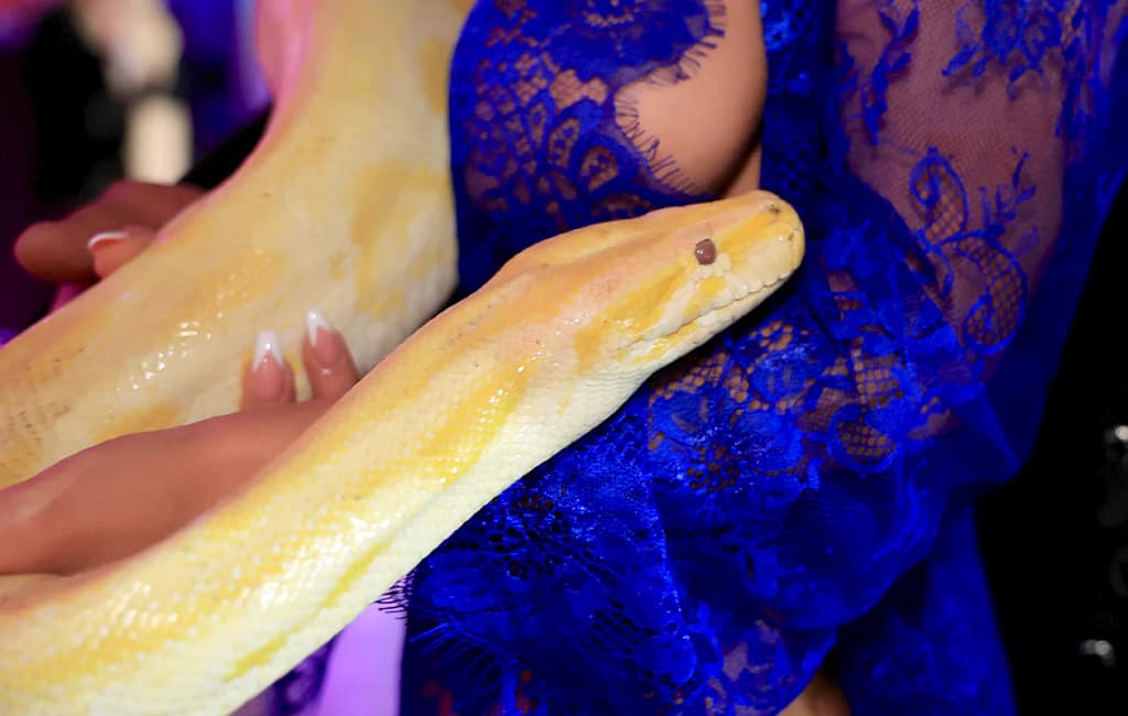 Erotic body en beauty beurs