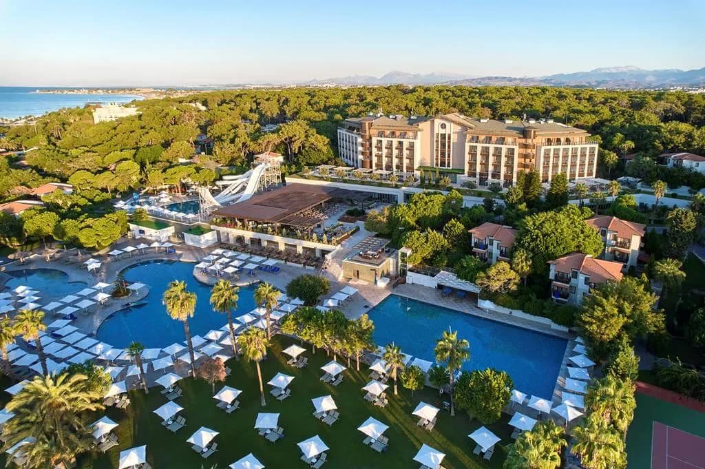 aW1hZ2VzLXR3ZC13aGl0ZWxhYmVsLXByZC90dWkvYUhSMGNITTZMeTl0WldScFlTNTBkV2xqYjI1MFpXNTBMbTVzTHpkRk15ODNSVE5GTXpWQlJVWkRPVE14UmtRd1F6VkRRVVUwT0VZMVFrTkZNME0yT0M1cWNHYw