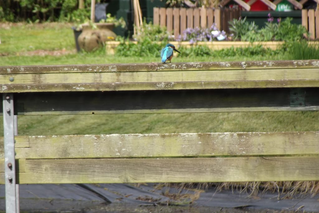 finse-vakantiebungalow-in-hulshorst-veluwe_36641