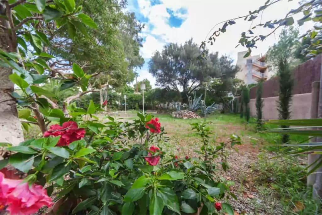 e2e79c47-6172-49cc-b0bd-0cd214155103