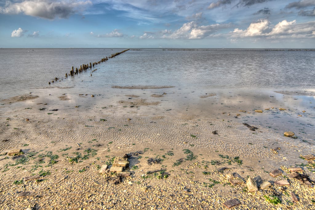 Nationaal Park Lauwersoog