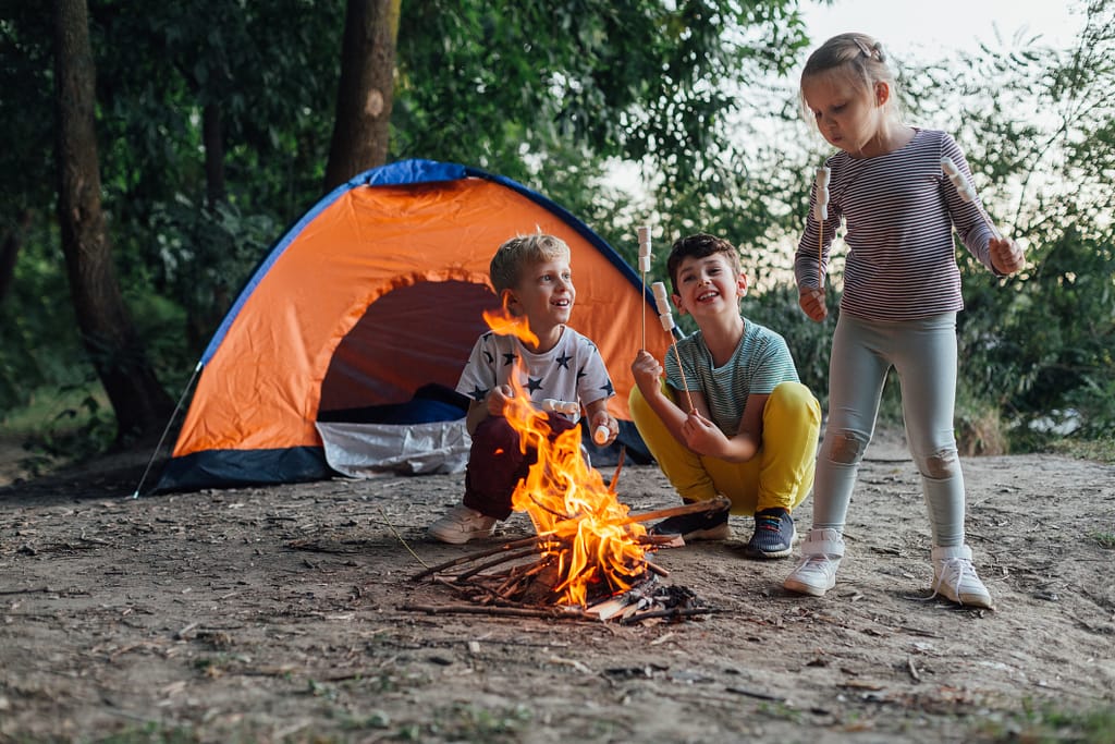 kamperen bij de boer