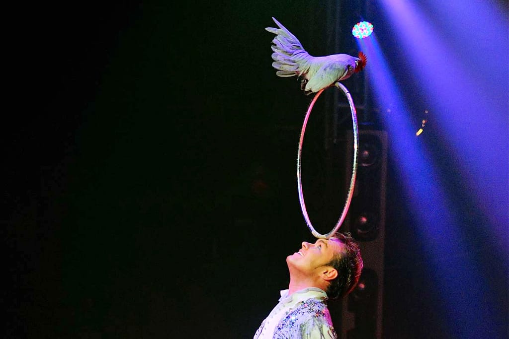 Kerstcircus Enschede