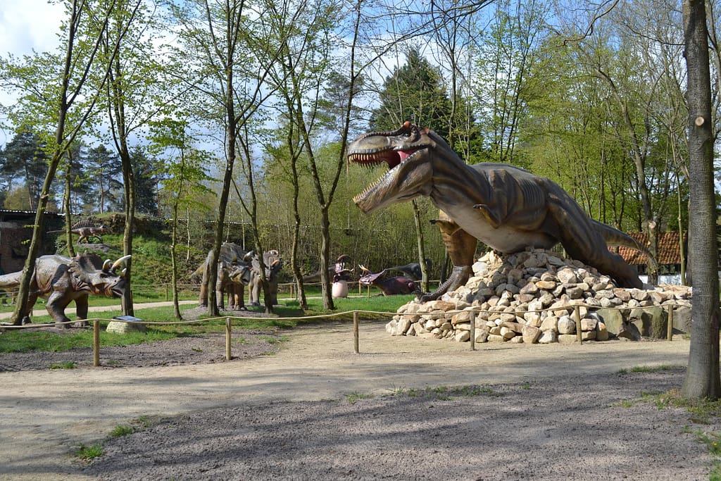 Dino Zoo