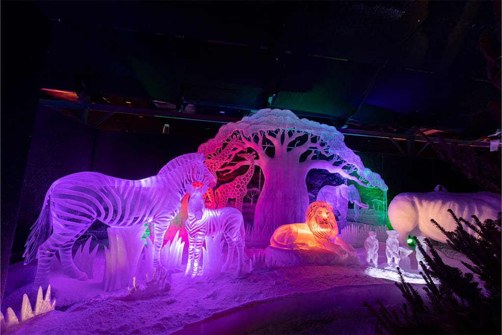 IJsbeelden festival Zwolle