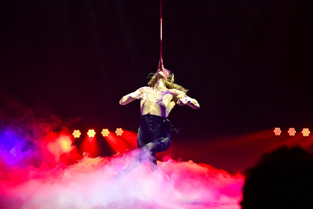 Groot Kerstcircus Den Haag