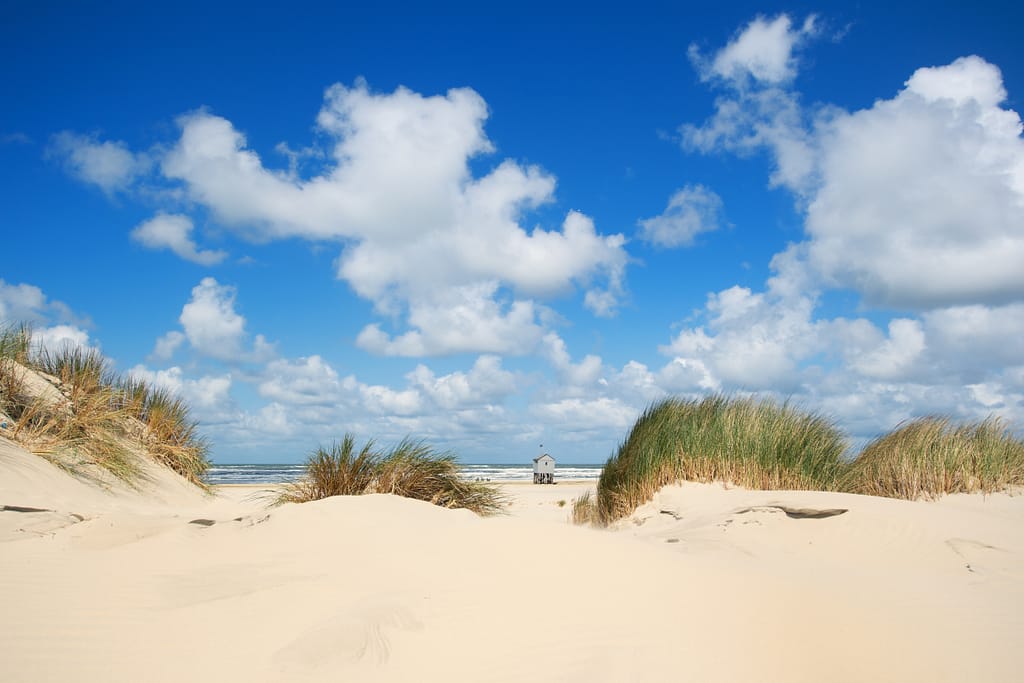 Ameland: prachtige duinlandschap