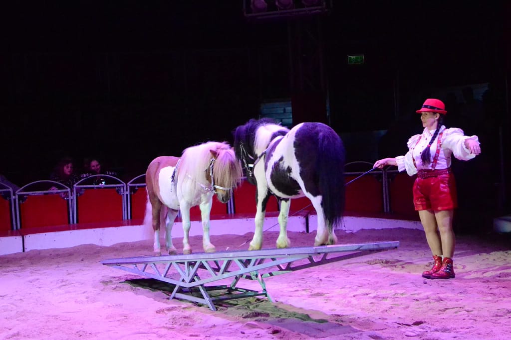 Kerstcircus Nijmegen