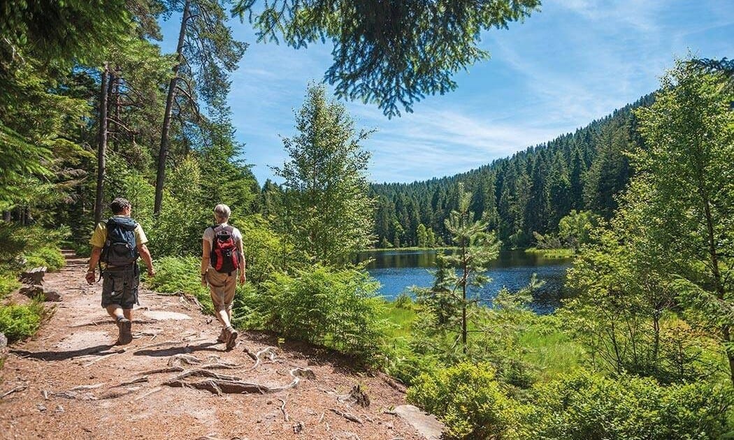 b9f0f57c4e586.original