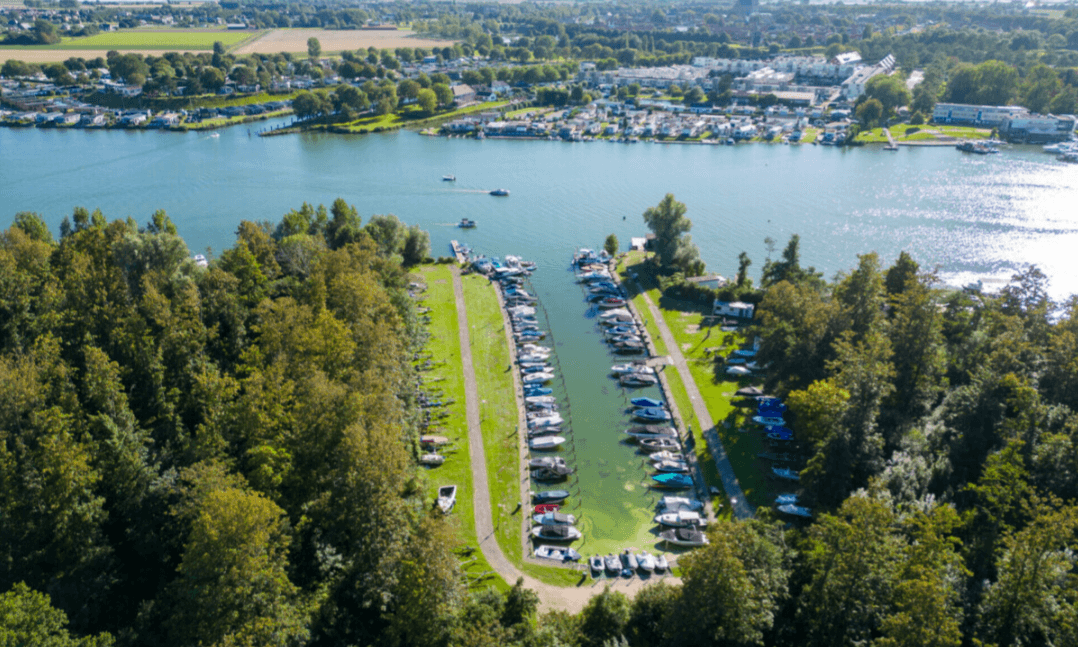 b47d5a1aa5856.original