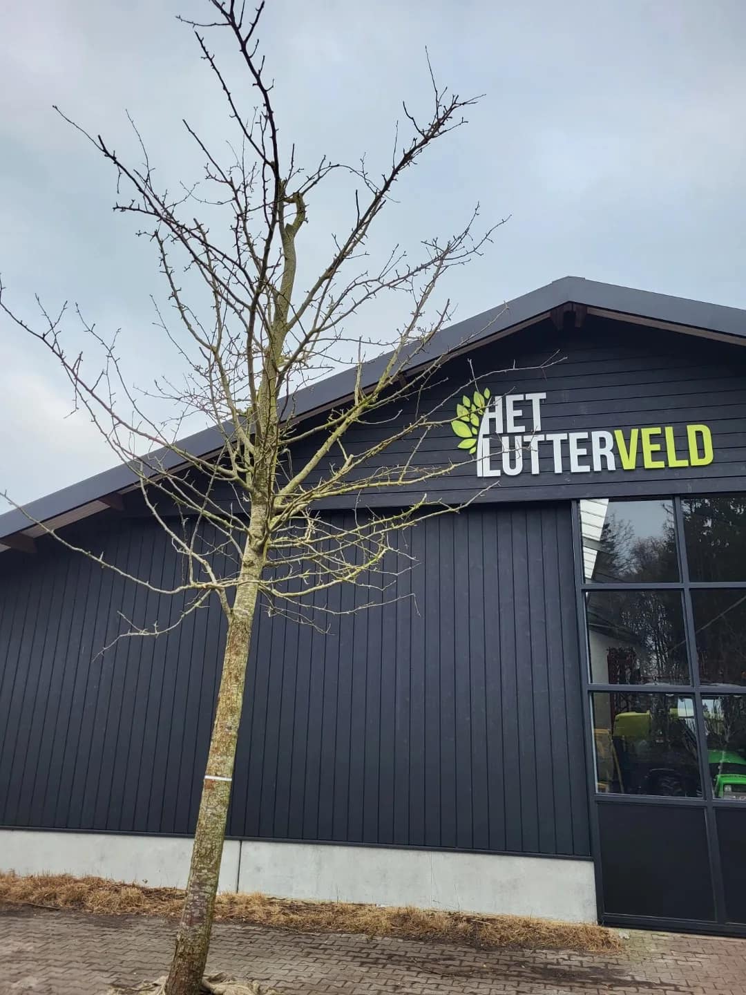 Nouveau poiteau perenboom hoogstam