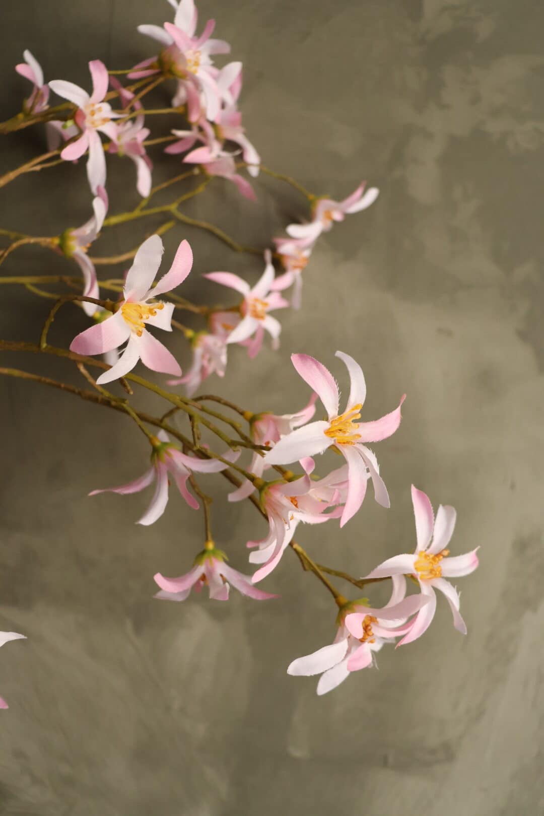 Magnolia roze - Afbeelding 2