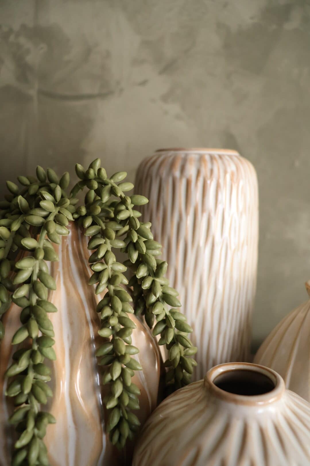 Erwtenplant groen - Afbeelding 3