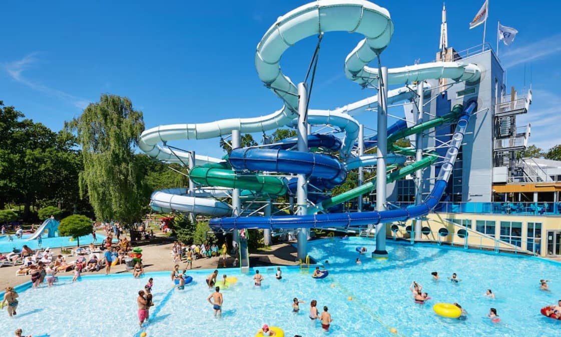 1466c4de46076.original