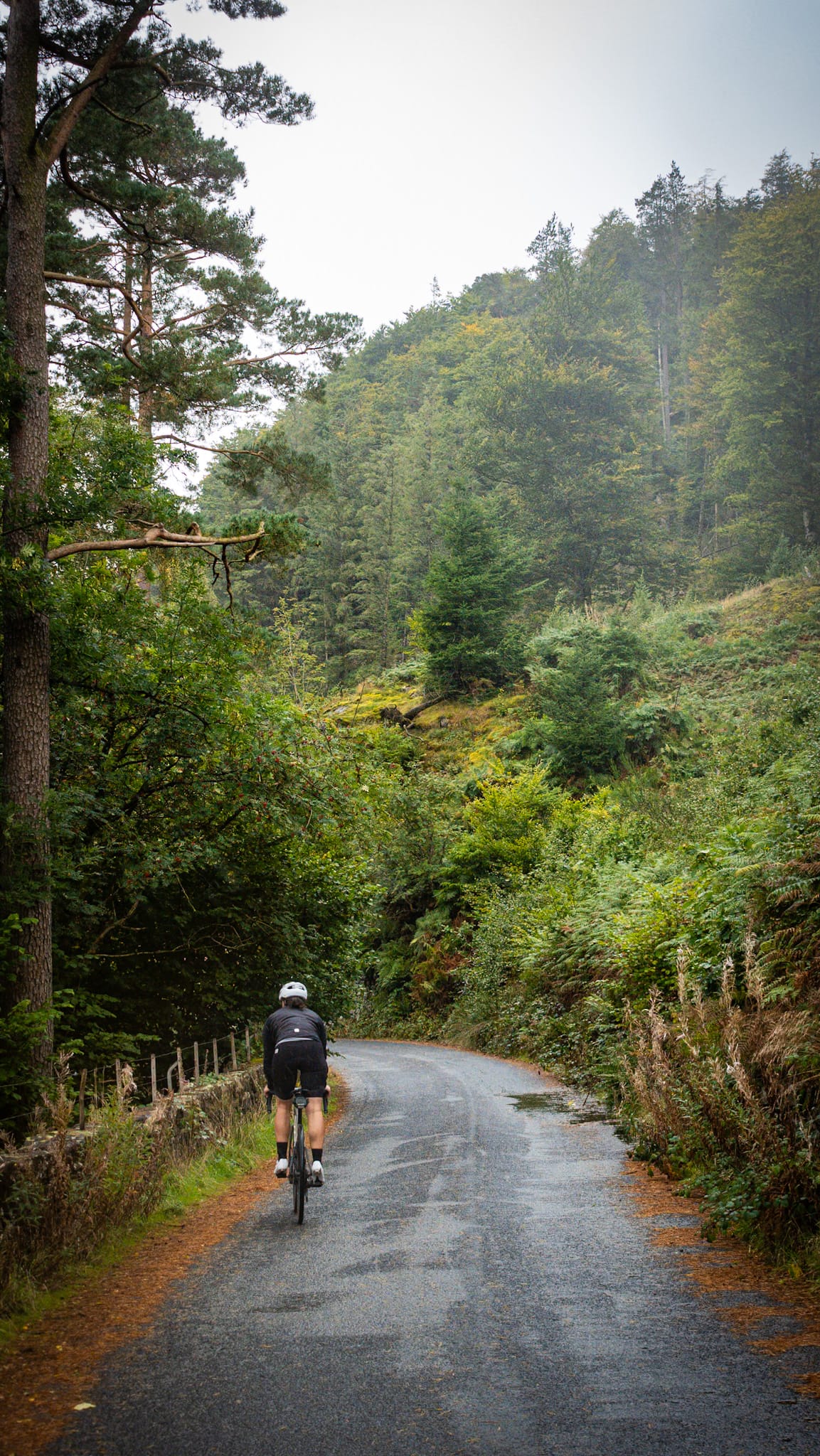 Fietsen Lake District Thirlmere