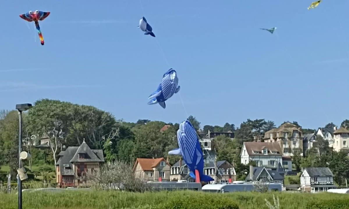 ff70e66b6da46.original