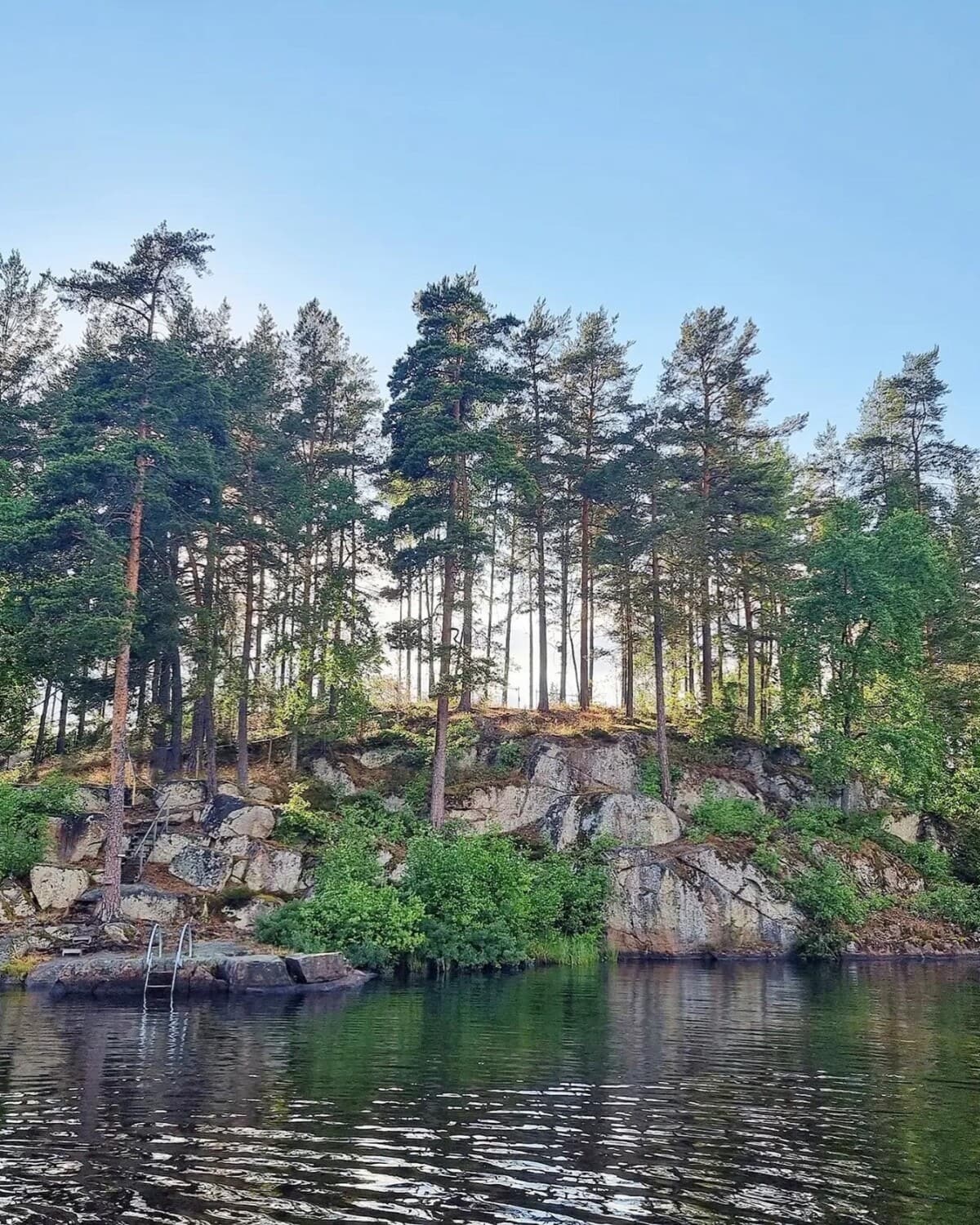 6EE8322D-FFC3-4444-A613-5C54EA300441